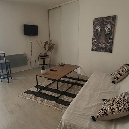 Studio Cosy Au Coeur De Millau Dış mekan fotoğraf